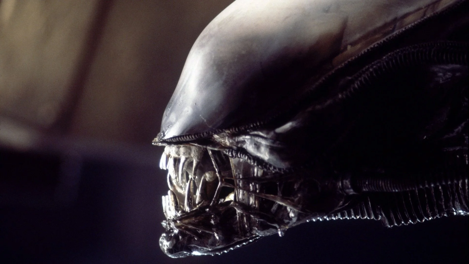 Alien Invasions: Our List of Top Otherworldly Films to Watch